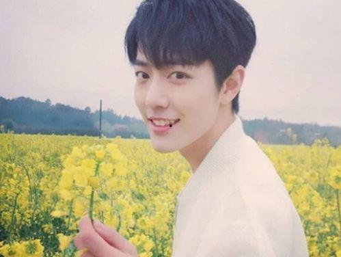 吃瓜娱乐圈肖战王一博