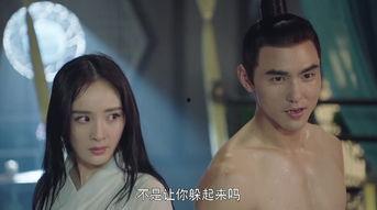 扶摇免费观看21集,传奇之旅，精彩纷呈！
