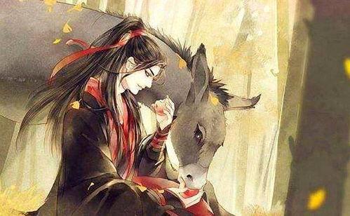 魔道9免费观看,免费解锁，探索仙侠世界的奇幻之旅