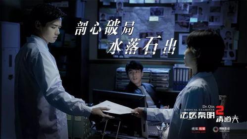 法医秦明清道夫免费观看,揭秘生死之谜，免费观看探案传奇