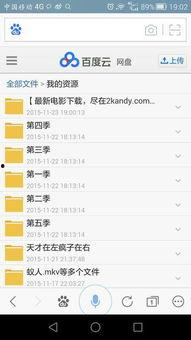 百度云 视频格式,视频格式解析与应用全攻略