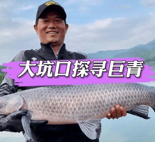 .邓刚钓鱼视频,视频教你如何成为钓鱼高手