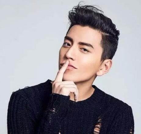 刘天仙男明星,从男明星到影视界璀璨星辰的蜕变之路