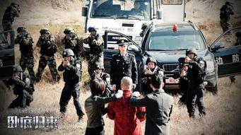 免费卧底归来视频,揭秘黑帮风云再起