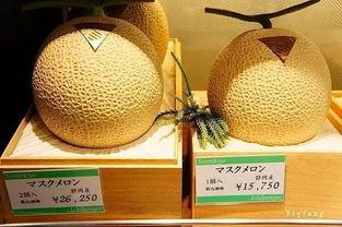 日本千屋水果,日本果香四溢的甜蜜诱惑