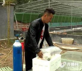 致富经金鱼养殖视频,揭秘视频中的养殖秘诀与盈利之道