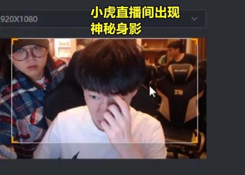 小虎淘气爆料视频大全,童趣无限，欢乐满屏