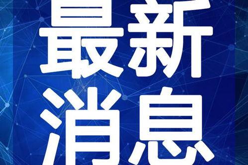 二八大案最新爆料新闻视频,独家视频揭秘关键证据