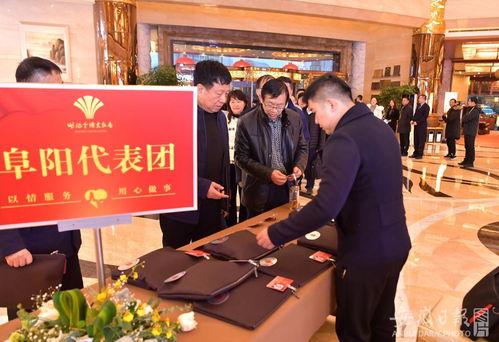 一本影院手机在线播放,影院手机在线播放新体验